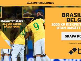 riskfritt spel brasilien belgien