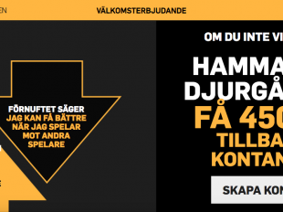 riskfritt spel hammarby djurgarden