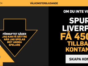riskfritt spel cl final