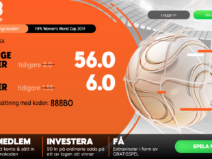 sverige usa odds
