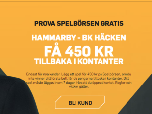 hammarby hacken riskfritt spel