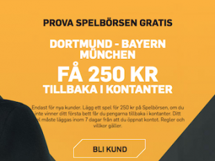 riskfritt spel dortmund bayern